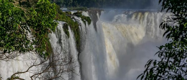 Bird Park & Iguassu Brazilian Side Gran Meliá Hotel Exclusive - Private Tour
