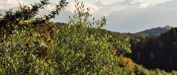 Private Tour - Douliana and Almyrida Nature Walk