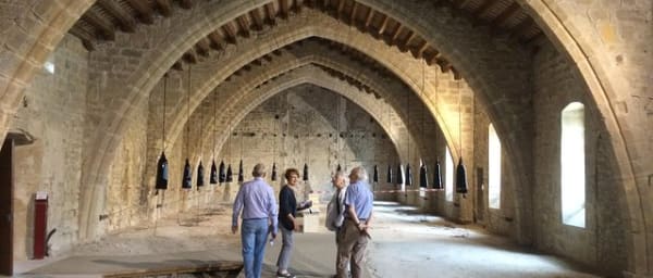 Day Tour to Lagrasse village and Fontfroide Abbey.Private tour from Carcassonne.