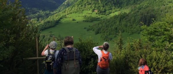 Day Tour to Mirepoix, Montségur, Camon. Private tour from Carcassonne