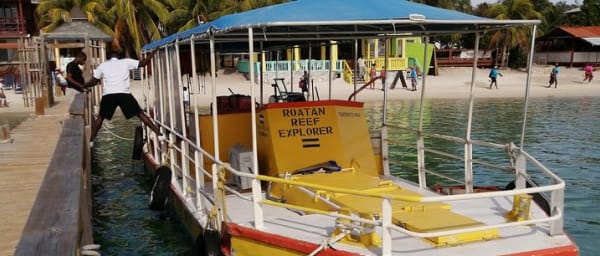 All inclusive Glass Bottom boat Wild life encounter and Beach