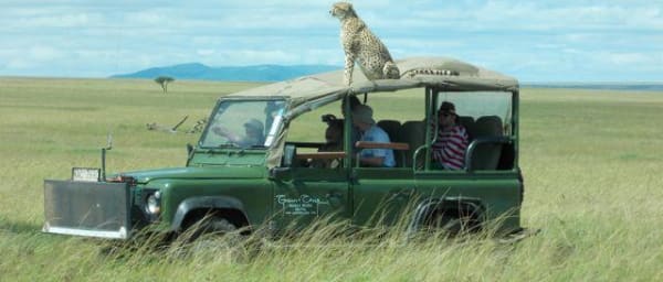 2-Day Mara Fly In Safari