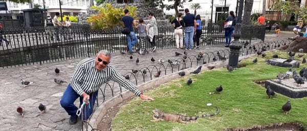 Shared Walking Tour in Guayaquil City
