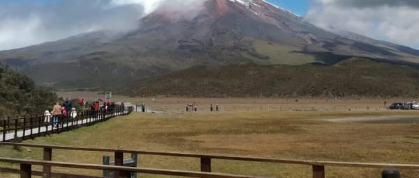 Excursion to Cotopaxi National Park and Limpiopungo Lagoon