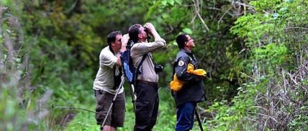 Half Day Birdwatching in Cerro Blanco from Guayaquil