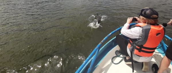 Dolphin Watching in Puerto El Morro from Guayaquil