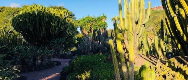 Tour arround Gran Canaria All Highlights