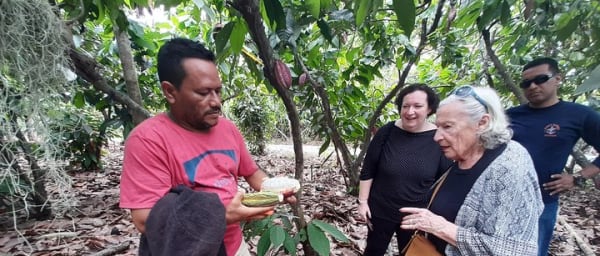 Half-day Chocolate Workshop - Cacao Farm