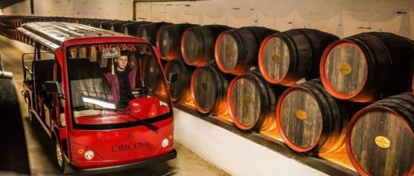 CRICOVA Winery tour with tasting from Chisinau