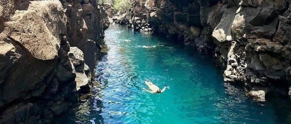 Half Day Bay Tour in Santa Cruz Island