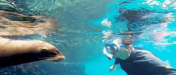 Day Trip Santa Fe and Playa escondida with Snorkeling