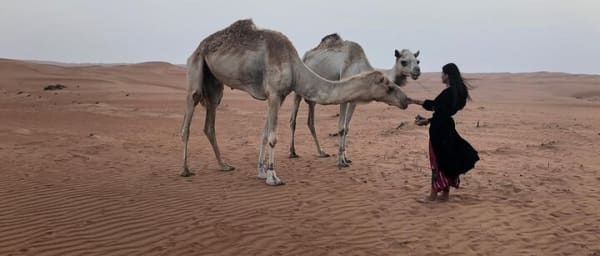Tour Jawahir 2 Days-1 Night In Wahiba Sands, Oman Tours Package