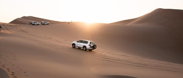 Premium Desert Safari with Lunch under the Ghaf Tree - Private