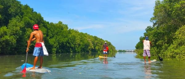 Stand Up Paddle Boarding with Pickup & Drop Off