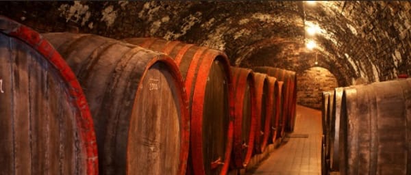 DayTour to Bran “Dracula’s” Castle + Peles Castle + Wine tasting at Azuga cellar