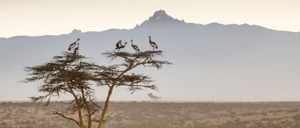 5 Day Hiking Adventure Mt Kenya Via Sirimon Route