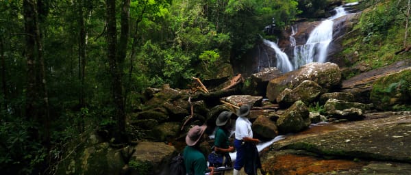 Sinharaja Trekking Day Tour