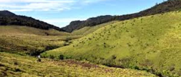 Day Trip to Horton Plains and Tea Estate in Nuwara Eliya
