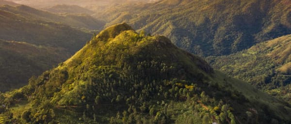 Adam's Peak Tour In a Day (24 Hrs)