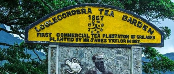 James Taylors Tea Story Tour from Kandy