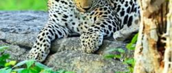 Adventure & Safari Tour