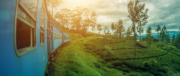 01 Week Tour In Sri Lanka
