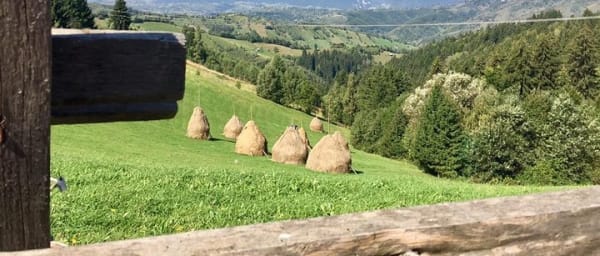 PRIVATE Day Hike on rollings hills near Bran Castle, through mountain villages