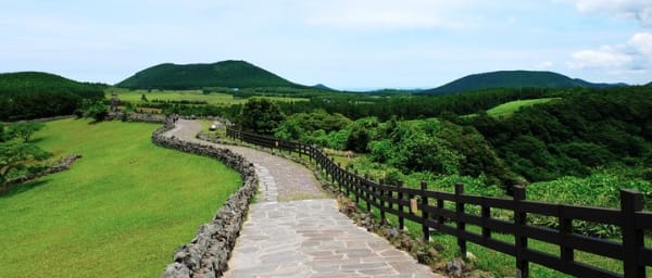 Cruise Layover : Private Jeju Highlight Tour