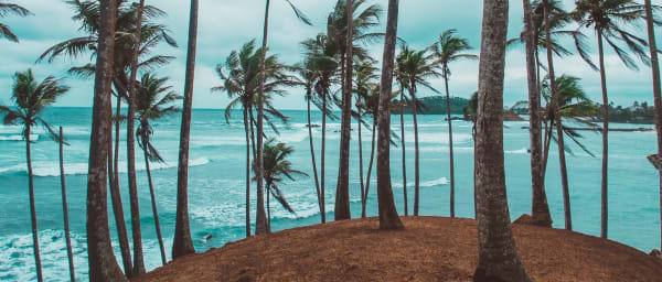 CEYLON CLASSIC TOUR - 3 Nights/4 Days
