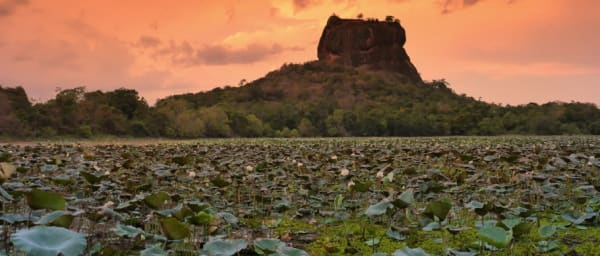CEYLON NATURE & CULTURAL TOUR - 6N/7D