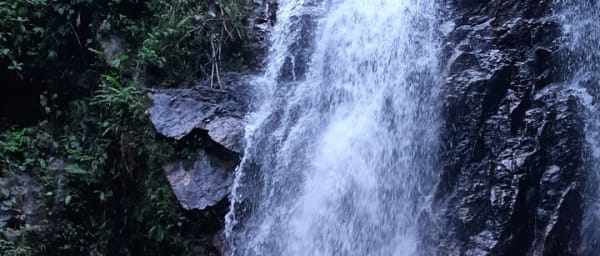 Full Day Manuel's Waterfalls from Guayaquil