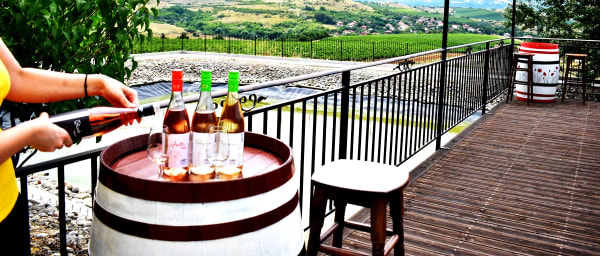 Rupel Winery - Wine Tastings, Tours & Activities