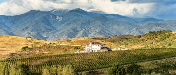 Wine Tasting & More in Villa Melnik – One of the World’s Best Wineries