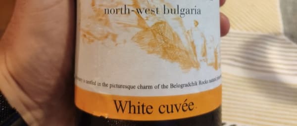 Vidin & Belogradchik Exquisite Wine Tasting