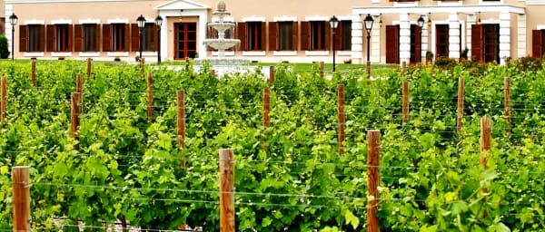Midalidare Estate Wine Tasting & Activities