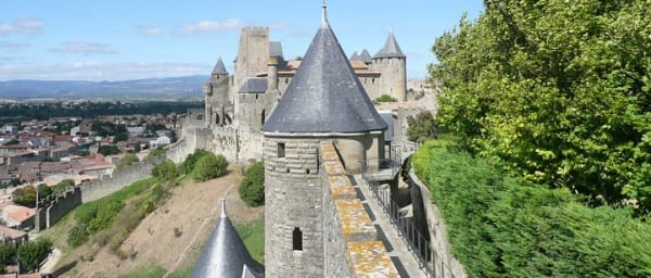 Day tour : Cité de Carcassonne and wine tasting. private tour from Carcassonne.