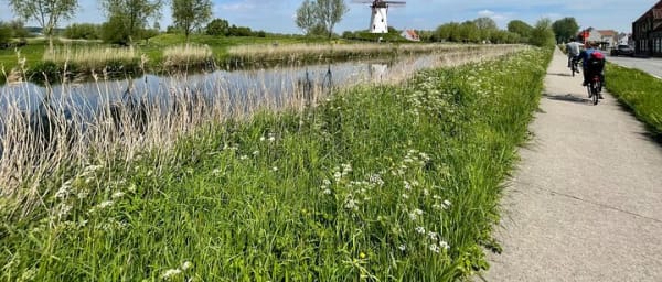 Private Bruges Countryside Cycling Tour to Damme with Guided Walk