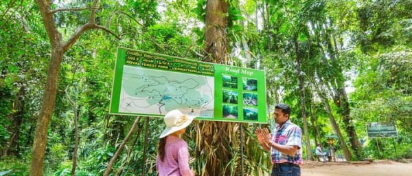 Udawatte Kele Santuary with Nature Walk from Kandy