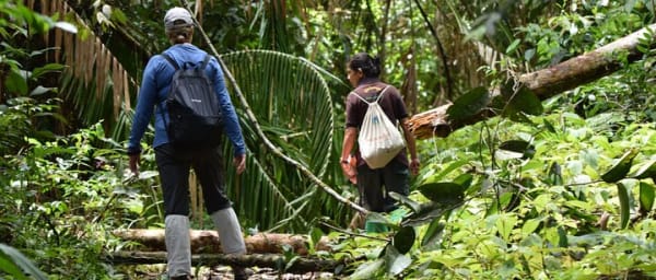 Sinharaja Rain Forest Tour from Hambantota