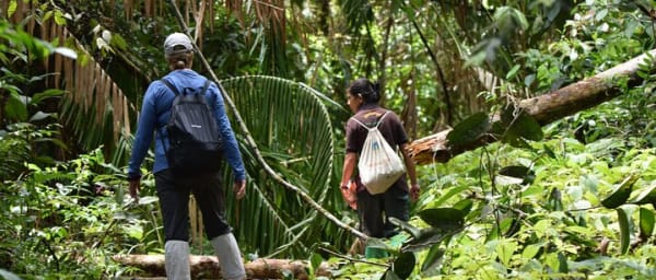 Sinharaja Rain Forest Tour from Galle
