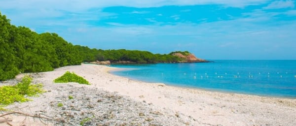 Trincomalee and Nilaveli beach Tour from Dambulla