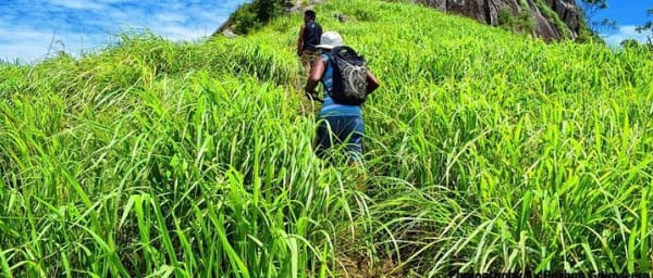 Saradiyel Village Trail And Alagalla Mountain Trekking Colombo