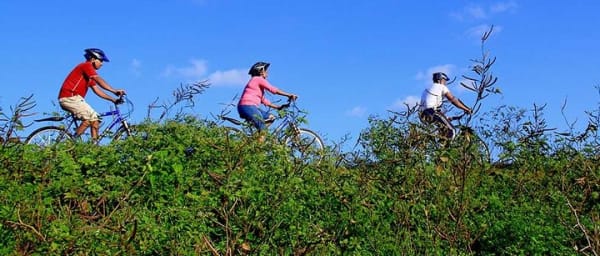Half Day Village Cycling Tour in Yala: