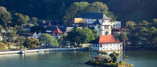 One Day Experience in Kandy (From Sigiriya)