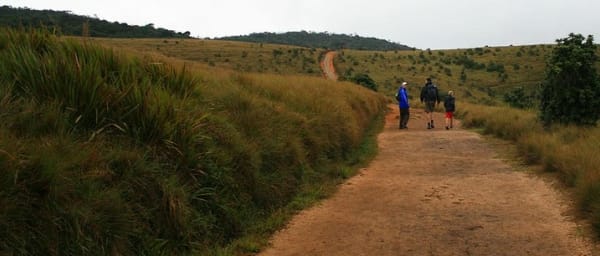 Hortan Plains Tour From Kandy