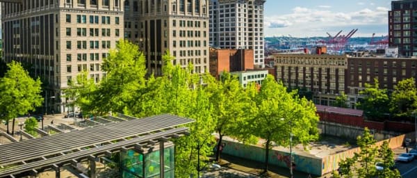 Seattle Gold Rush Quest: Race to the S.S. Portland