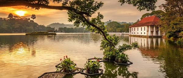 Kandy Private Day Tour from Colombo/Negombo