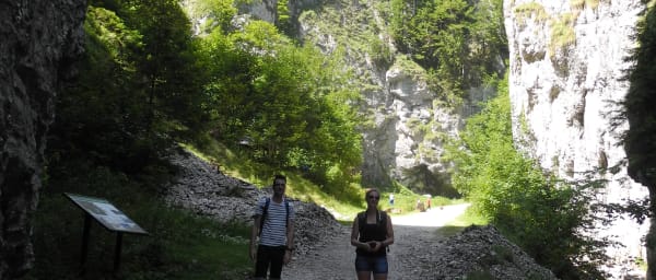 Day Hike OPEN GROUP tour - Piatra Craiului National Park