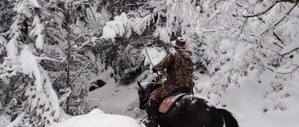 1 Hour Waterfalls Canyon Private Horse Riding in Smolyan