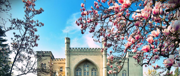 Kornik castle & Rogalin palace - PRIVATE tour from Poznan (4h)